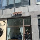 대전 애견미용 잘하는곳 추천 탄방동 솜방망이 믿고 맡길 수 있는 강아지 애견미용샵