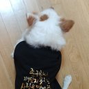 역사를 잊은 민족에게 미래는 없다 이미지