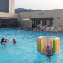 롯데호텔 실내수영장 이미지