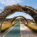 불갑저수지 수변공원 이미지