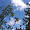 위례도서관 1층 이미지