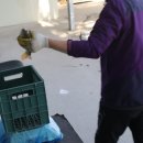 신천자연 낚시터 이미지