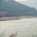 동강당구장 이미지