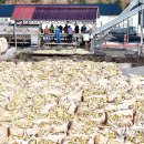 박지호농장 이미지