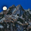 몽해농장 이미지