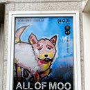 MOO빌딩 | 현무전 ALL OF MOO // 힐링이 되는 서울 무료 전시회 후기