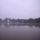 모토바이크