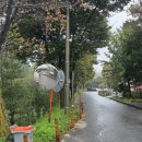 솔밭공원 티스토리