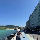 탑업 | [ALO 후기] 수트업 트라우저 &amp; 아스파이어 탑 착용후기, 사이즈팁🛍 ✨