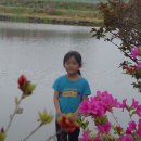 수정낚시터 이미지