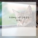 건강근력운동 이미지