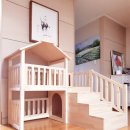 애견하우스 이미지