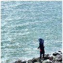 대산항민박 이미지