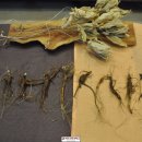 지바고한의원 이미지