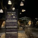 22 | 용인 처인구 애견동반 카페 캠핑 감성 추천 라임그라스 불멍 내돈내산 후기
