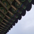 수원-1731 이미지