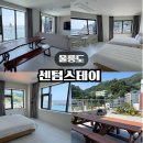 스테이하우스 | 울릉도숙소 추천ㅣ 울릉도펜션 센텀스테이 펜트하우스 후기