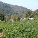 산골 이미지