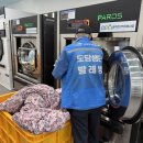 샘터세탁 이미지