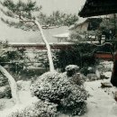 예솔7080