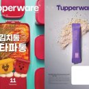 타파웨어 아이비 네이버블로그