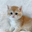 행복광장 화장실 이미지