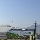 봉강가술로 | 창원 아이와가볼만한곳 딸기체험 내가키워팜 내돈내산 솔직후기