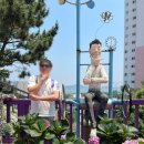 대양마트 | 울산 장생포 수국 축제 주차장 입장료 정보(유료, 무료 구역 정리)