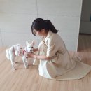 김태화동물병원 이미지