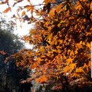 이곡마을회관 이미지