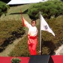 힐링태극권 Daum카페