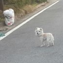 노은도서관 이미지