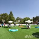 놀아보개 이미지