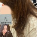 윤선생미용실