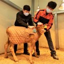 한우사육사 이미지