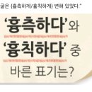 흉칙하다? 흉측하다? 이미지