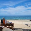 관성솔밭해변 이미지