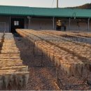 김천수산 이미지