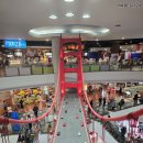 동군산푸드뱅크 | [탑승후기] 태국의 국영항공사-타이항공 방콕~인천 탑승기(타이항공 라운지는 과연...?)