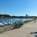 영신자전거 이미지