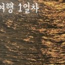 와사비 호테루 이미지