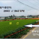 전대초등학교 이미지