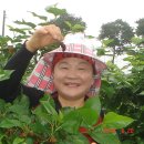 동서농장 이미지