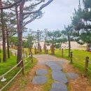 키즈시네마 7월 이미지