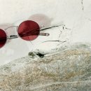 헐리우드안경 이미지