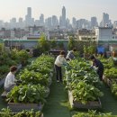 텃밭과 함께하는 생태체험놀이 이미지