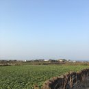 소소행성 | [제주도] ‘소소행성’ 소소, 아기자기한 예쁜 독채 펜션 🧸★