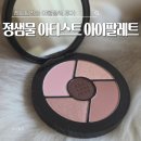 코어아티스트 | 쿨톤 섀도우팔레트 추천 정샘물 아티스트 아이 팔레트 코어 레드브라운 여쿨 후기 내돈내산
