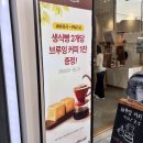 이지브레드 | 경희대 베이커리 카페 외대앞역 카페 맛집 이지화이트 브레드 후기