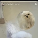 아토살롱 이미지